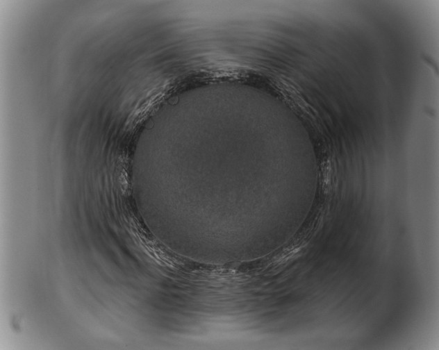 X0000102360916200808081127