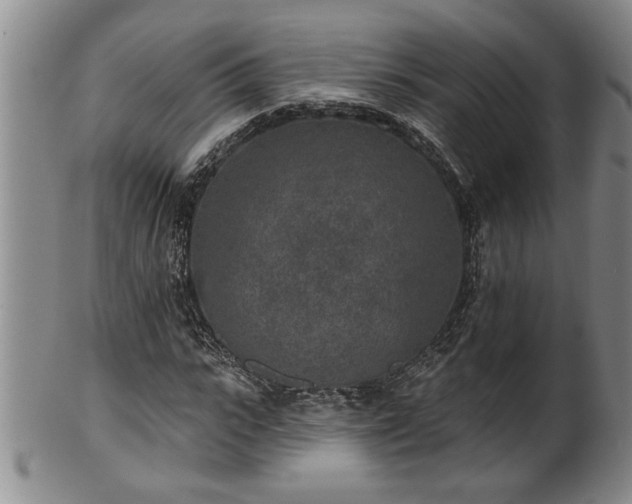 X0000102360919200808081127