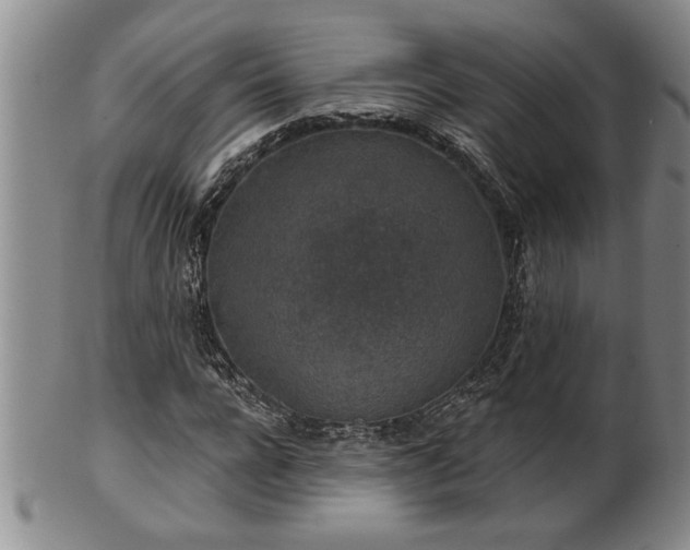X0000102360920200808081127