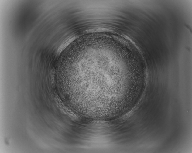 X0000102360921200808081127