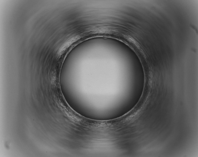 X0000102360922200808081127