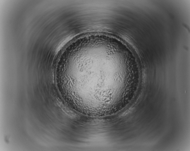 X0000102360925200808081127