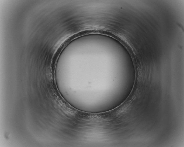 X0000102360927200808081127