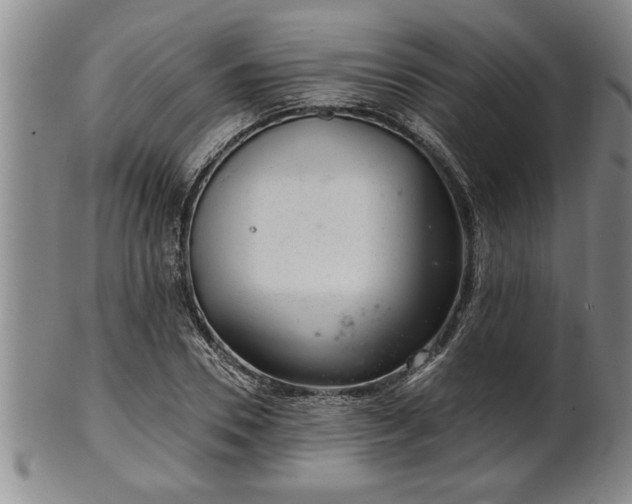 X0000102360930200808081127