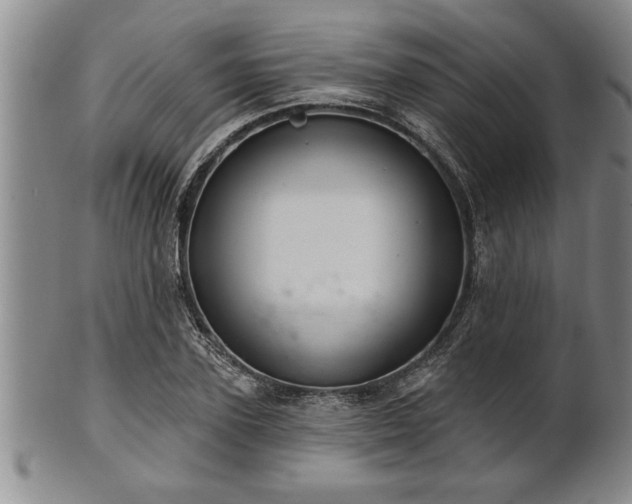 X0000102360931200808081127