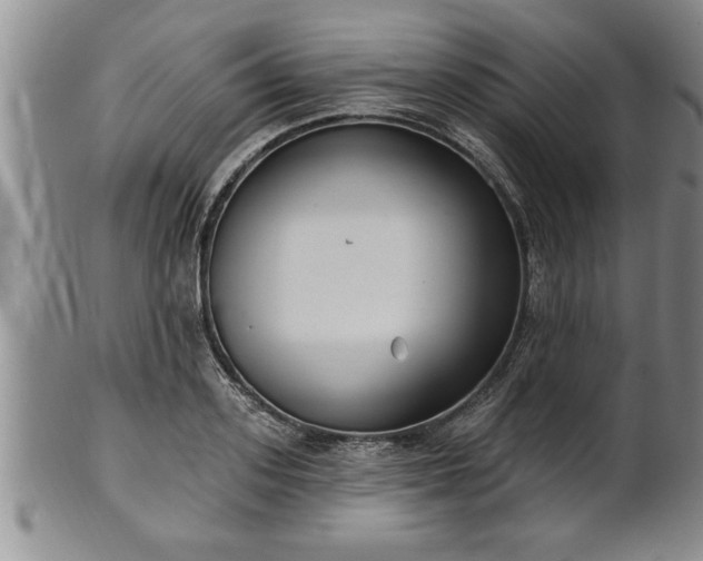X0000102360939200808081127