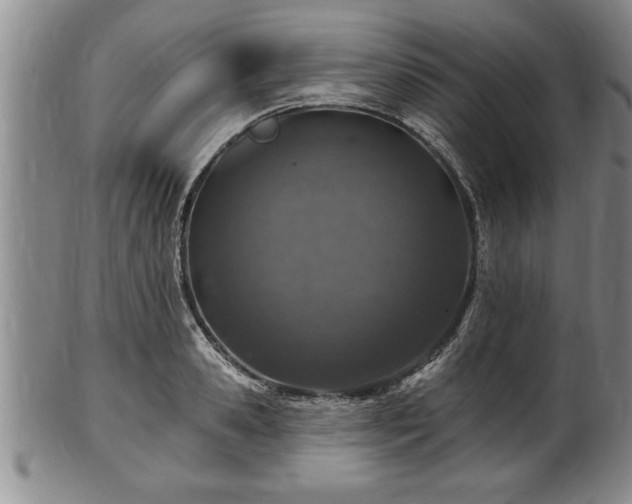 X0000102360941200808081127