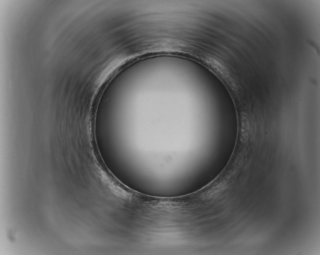 X0000102360942200808081127
