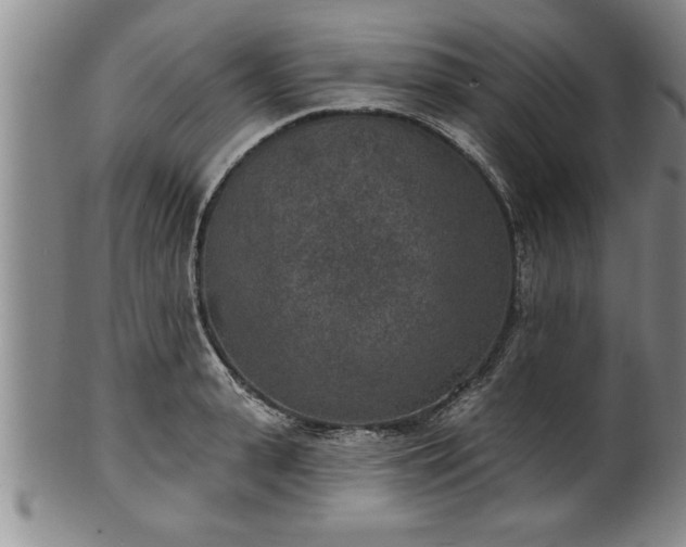 X0000102360943200808081127
