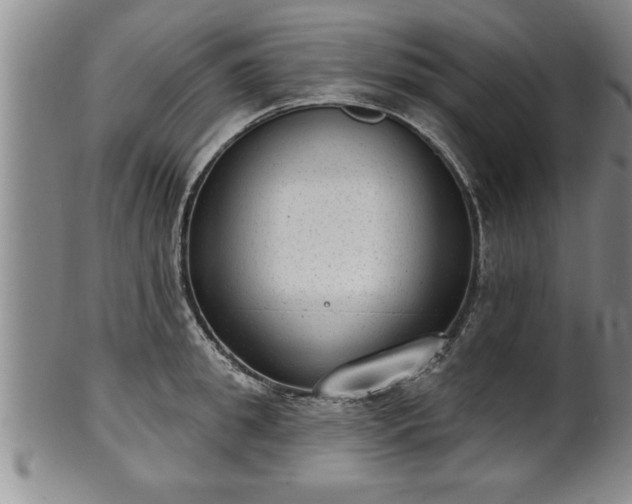 X0000102360949200808081127