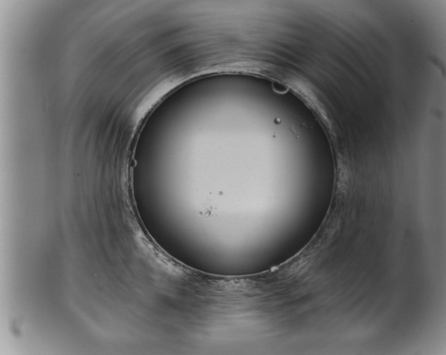 X0000102360952200808081127