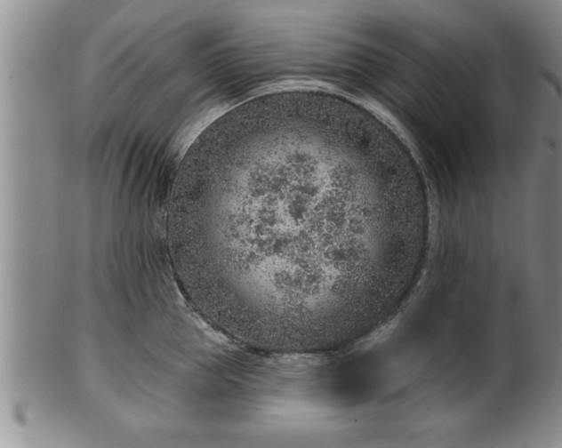 X0000102360953200808081127