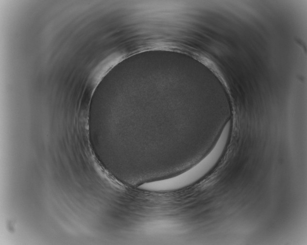 X0000102360954200808081127