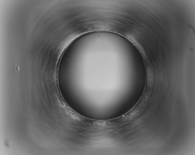 X0000102360956200808081127