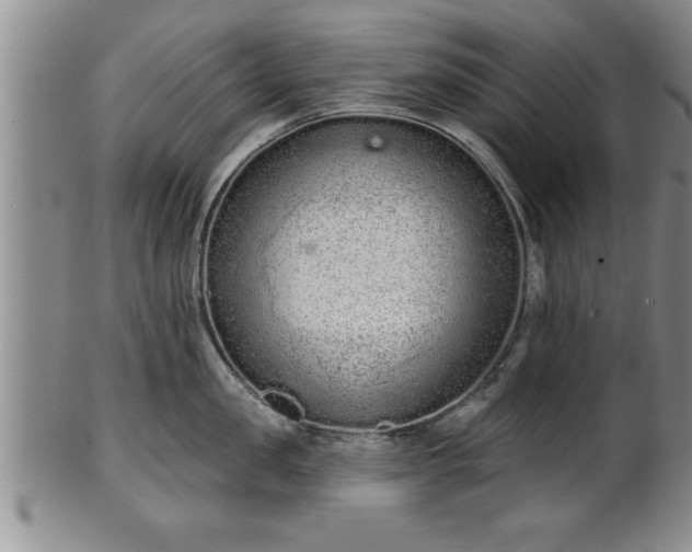 X0000102360957200808081127