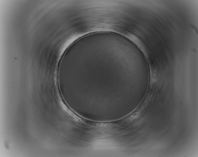 X0000102360958200808081127