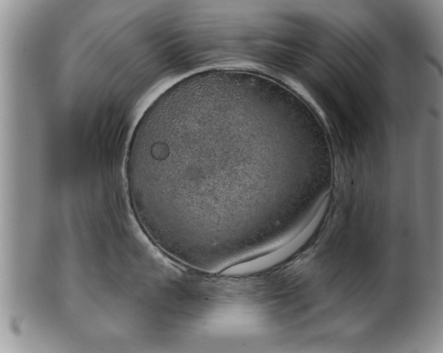 X0000102360959200808081127