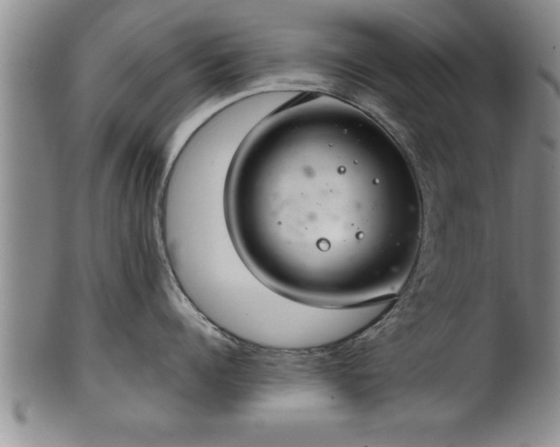 X0000102360960200808081127