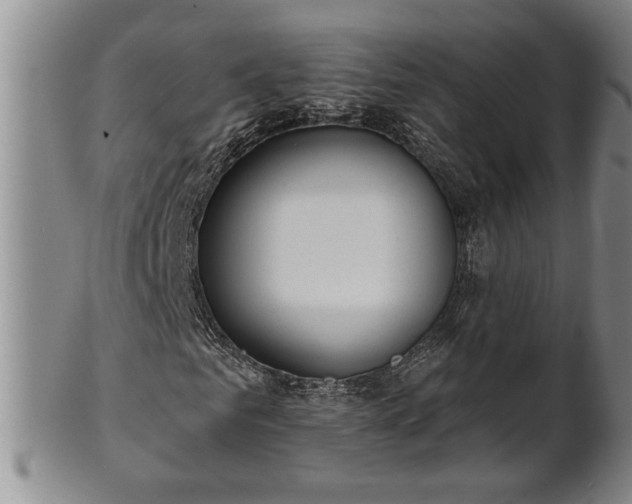 X0000102360961200808081127