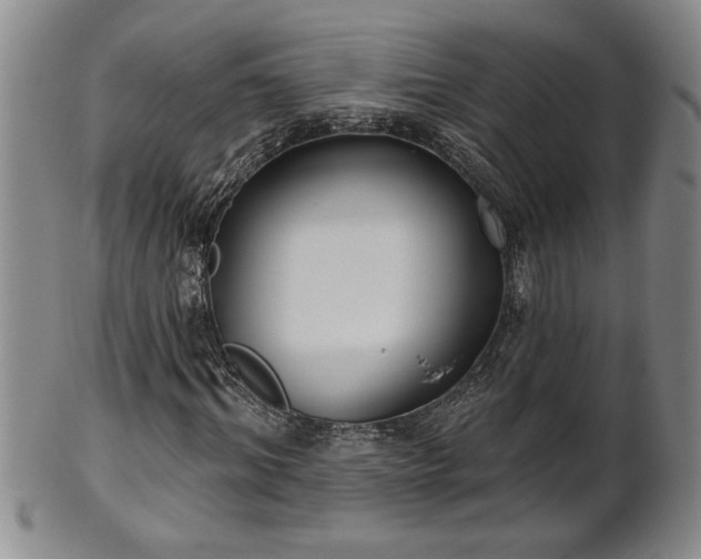 X0000102360964200808081127