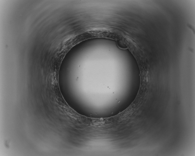 X0000102360965200808081127