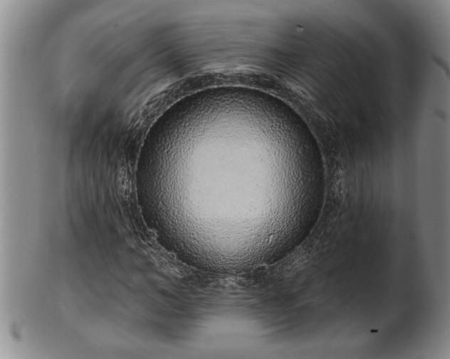 X0000102360966200808081127