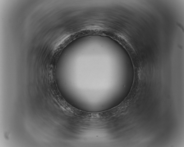 X0000102360968200808081127