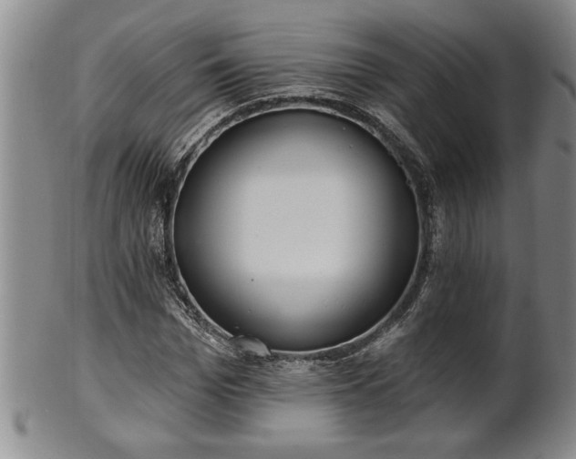 X0000102360969200808081127