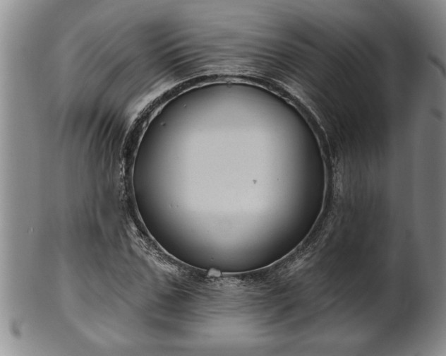 X0000102360971200808081127