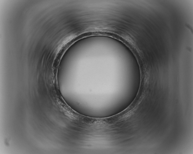 X0000102360974200808081127