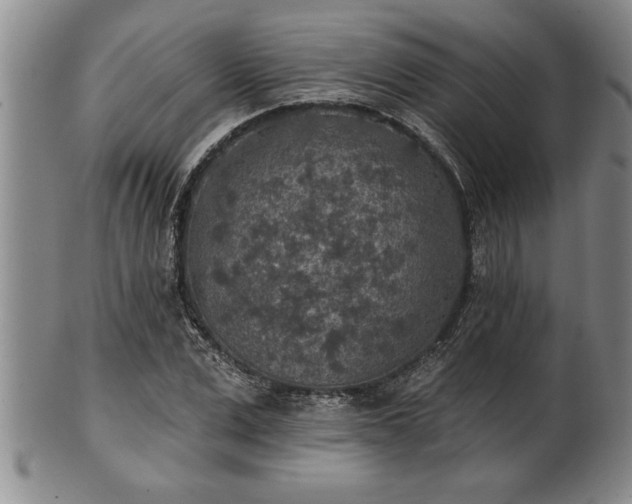 X0000102360975200808081126