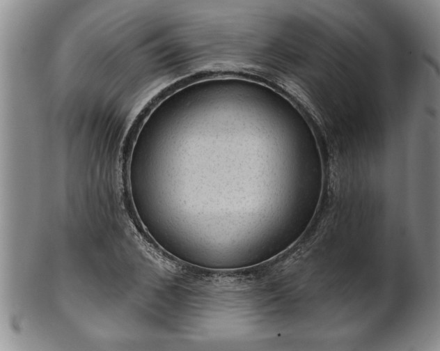 X0000102360976200808081126