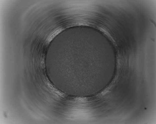 X0000102360977200808081126