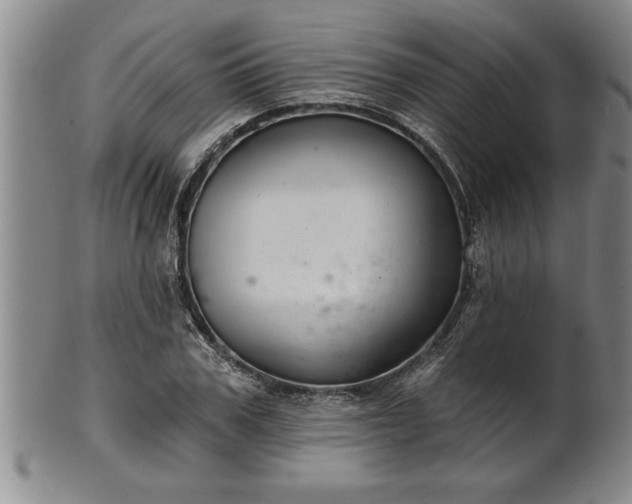 X0000102360979200808081126