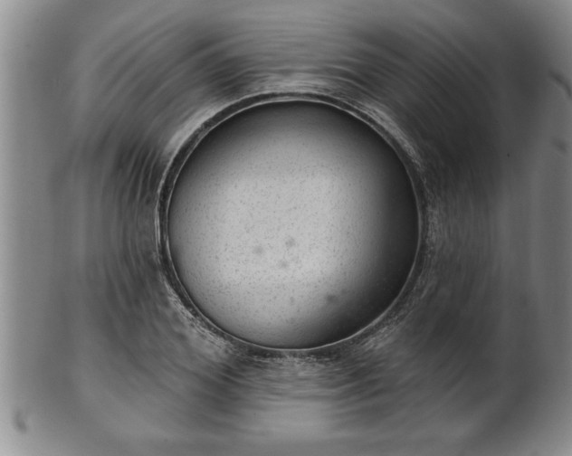 X0000102360980200808081126