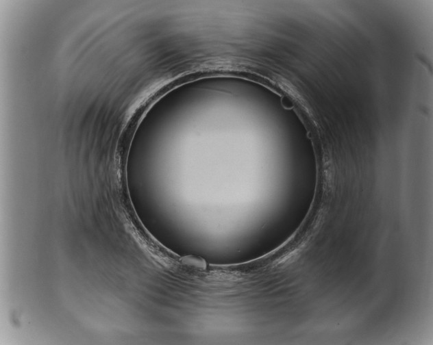 X0000102360981200808081126