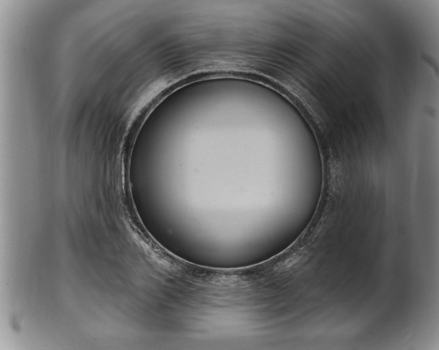 X0000102360982200808081126