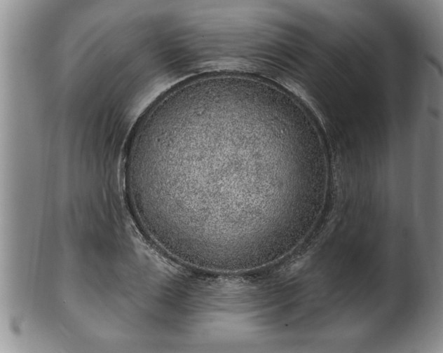 X0000102360983200808081126