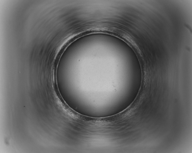 X0000102360984200808081126