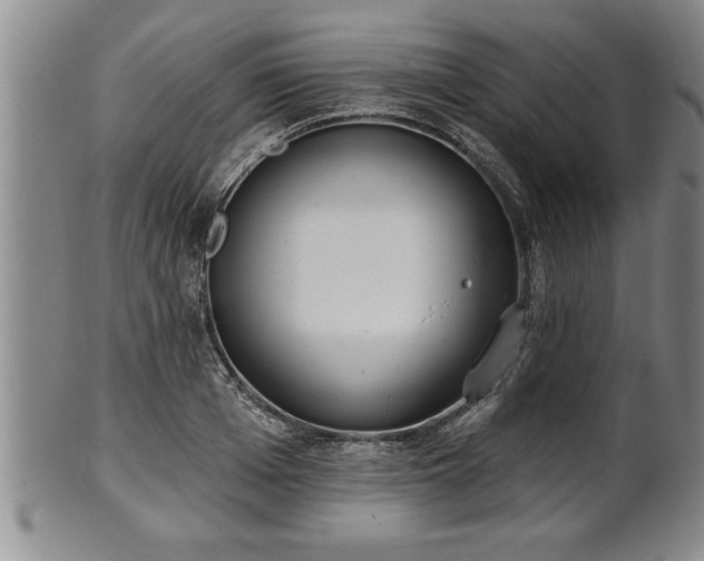 X0000102360985200808081126