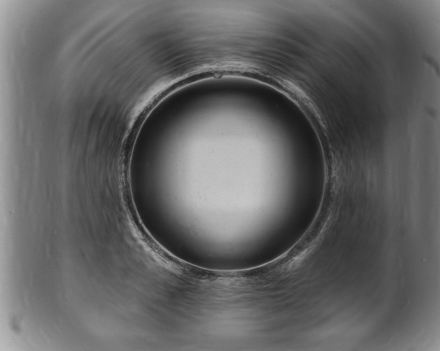X0000102360989200808081126