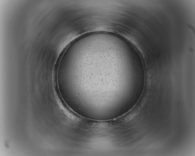 X0000102360991200808081126