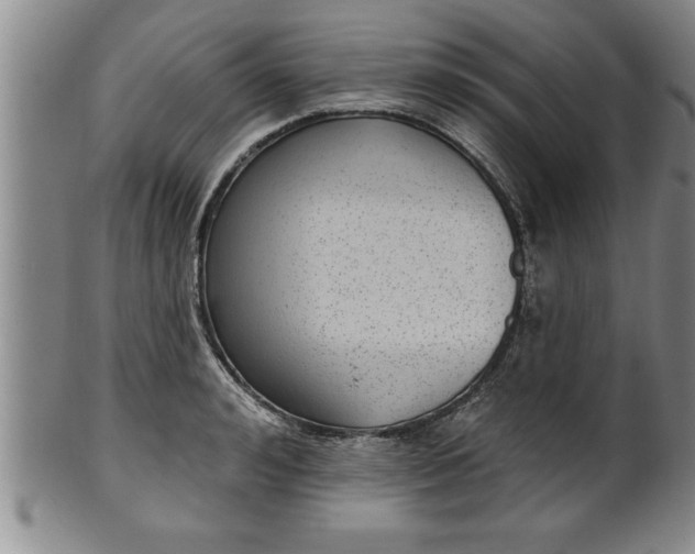 X0000102360992200808081126