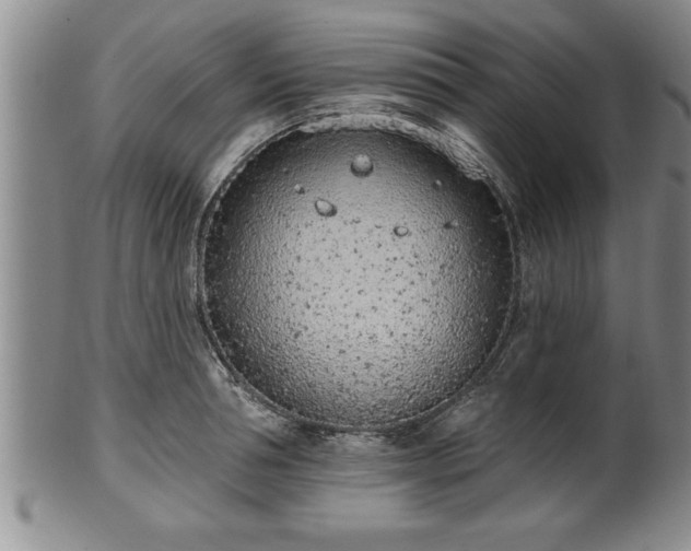 X0000102360994200808081126