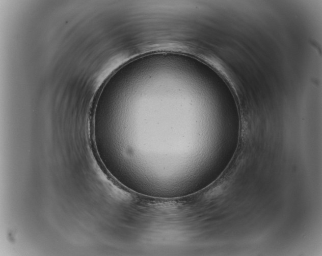 X0000102360999200808081126
