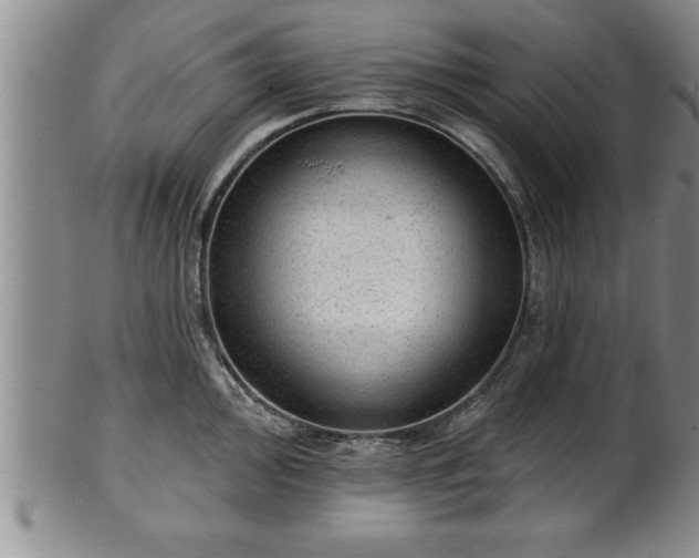 X0000102361000200808081126
