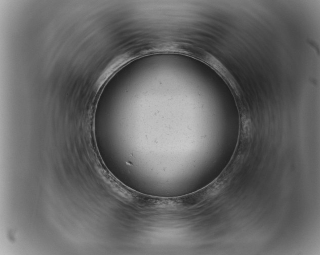 X0000102361002200808081126