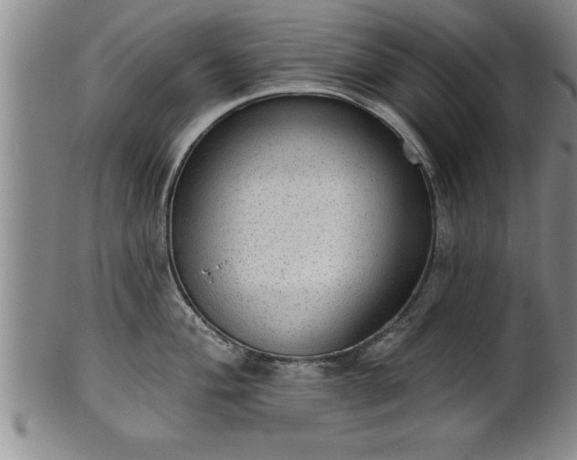 X0000102361004200808081126