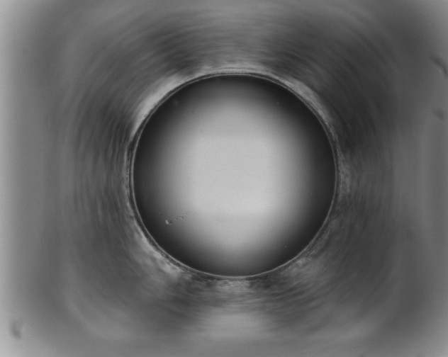 X0000102361006200808081126
