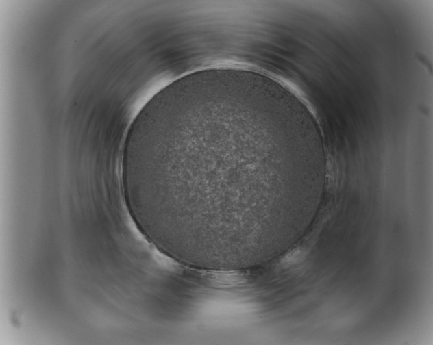 X0000102361007200808081126